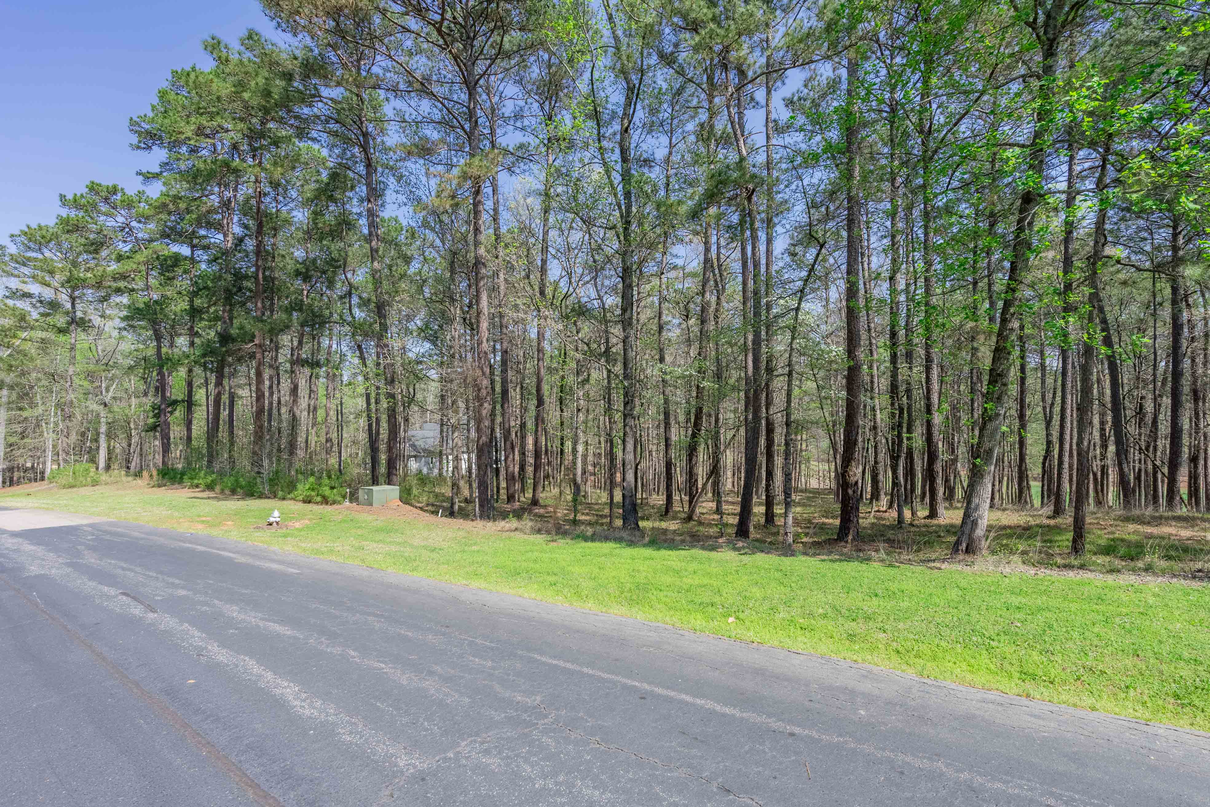 1190 Callahan's Ridge Road image 3